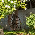 Miljas Dubrovnik