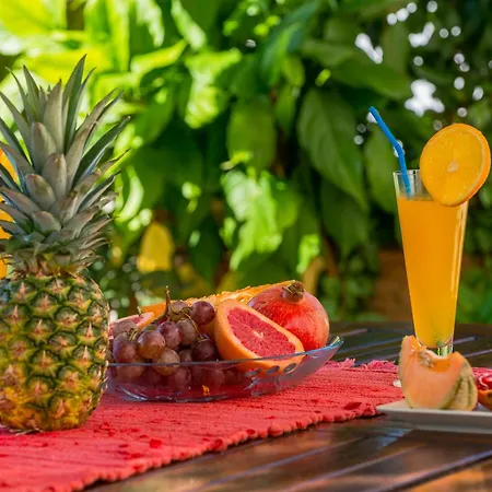 아파트먼트 밀야스