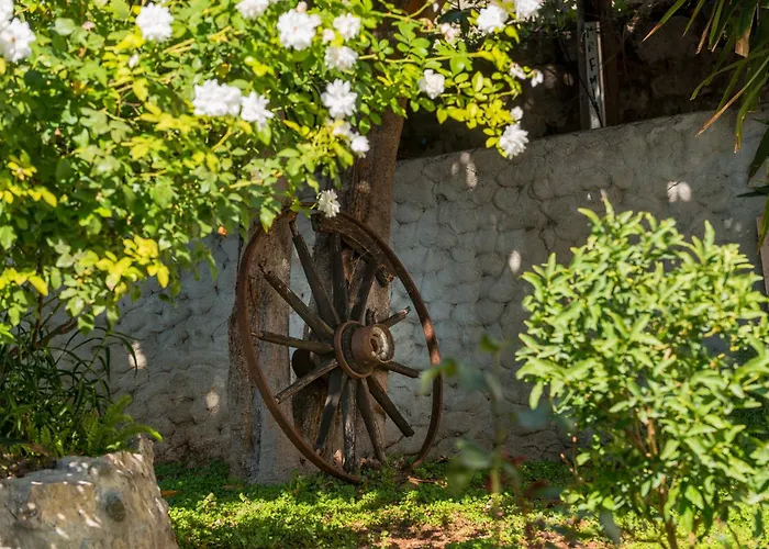 Miljas Ντουμπρόβνικ