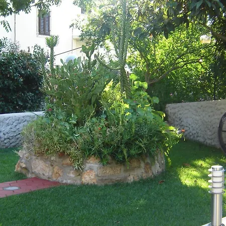 Miljas Dubrovník